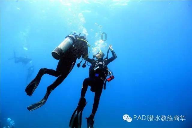 长期喝白开水和长期喝茶的人，谁的身体更健康？-知识星球平台，专注知识分享